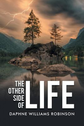 Knjiga Other Side of Life DAPHNE WIL ROBINSON