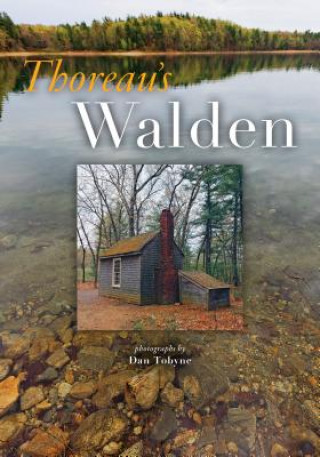 Kniha Thoreau's Walden Dan Tobyne