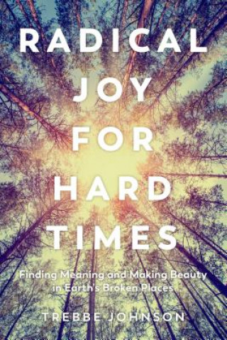 Könyv Radical Joy for Hard Times Trebbe Johnson