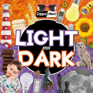 Kniha Light and Dark Emilie Dufresne