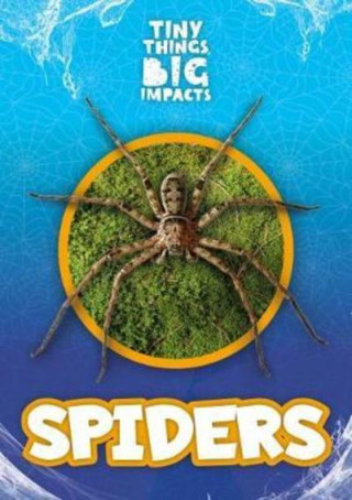 Carte Spiders John Wood