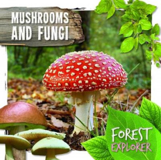 Könyv Mushrooms & Fungi Robin Twiddy
