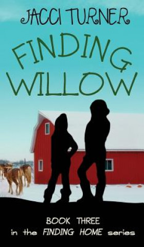 Kniha Finding Willow JACCI TURNER