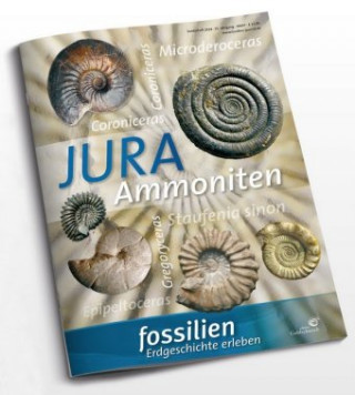 Carte Jura-Ammoniten Günter Schweigert
