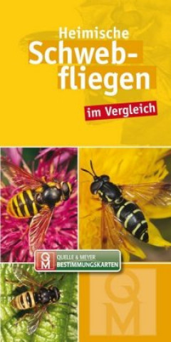 Książka Heimische Schwebfliegen, Bestimmungskarten Quelle & Meyer Verlag