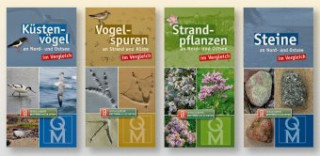 Könyv Bestimmungskarten-Set "Strand", 4 Teile Quelle & Meyer Verlag
