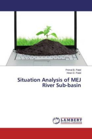 Kniha Situation Analysis of MEJ River Sub-basin Primal B. Patel