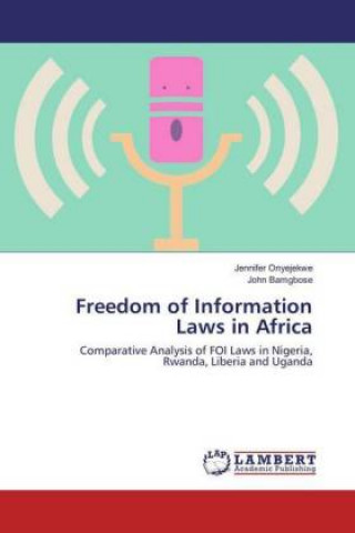 Kniha Freedom of Information Laws in Africa Jennifer Onyejekwe