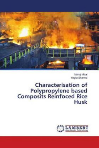 Kniha Characterisation of Polypropylene based Composits Reinfoced Rice Husk Manoj Mittal