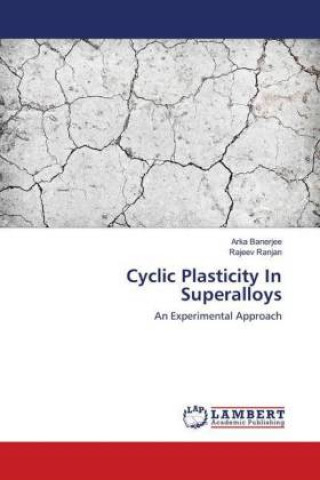 Kniha Cyclic Plasticity In Superalloys Arka Banerjee