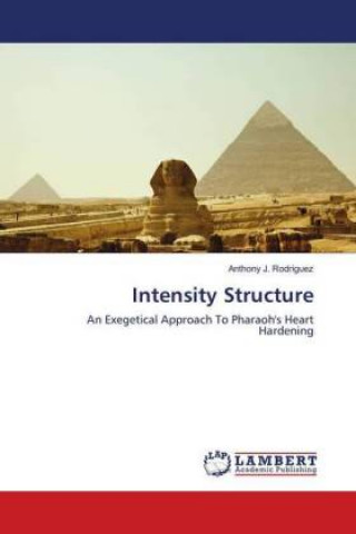 Knjiga Intensity Structure Anthony J. Rodriguez
