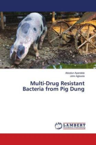 Könyv Multi-Drug Resistant Bacteria from Pig Dung Abiodun Ayandele