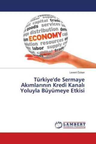 Book Türkiye'de Sermaye Akimlarinin Kredi Kanali Yoluyla Büyümeye Etkisi Levent Özkan