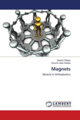 Knjiga Magnets Sachin Tikekar