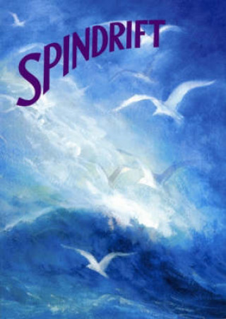 Kniha Spindrift: A Collection of Poems, Songs, and Stories for Young Children Jennifer Aulie