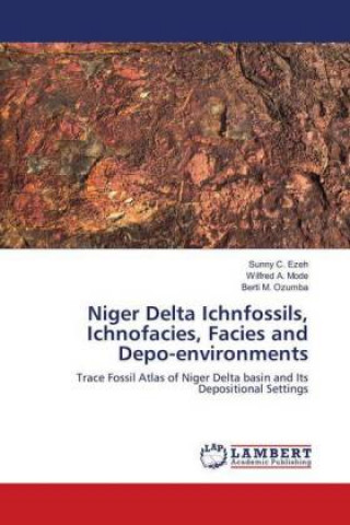 Kniha Niger Delta Ichnfossils, Ichnofacies, Facies and Depo-environments Sunny C. Ezeh