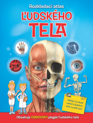 Buch Rozkladací atlas ľudského tela 