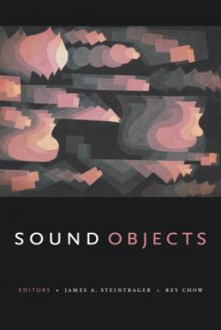 Knjiga Sound Objects James A. Steintrager