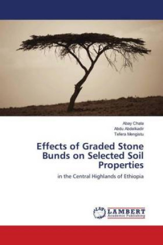 Carte Effects of Graded Stone Bunds on Selected Soil Properties Abay Chala