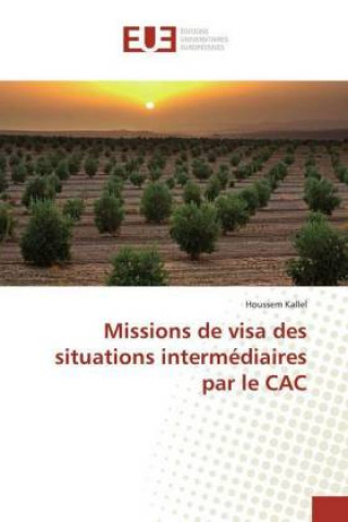 Carte Missions de visa des situations intermédiaires par le CAC Houssem Kallel