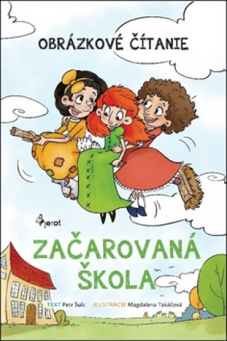 Book Začarovaná škola Šulc Petr
