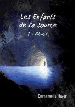 Knjiga Les Enfants de la Source Emmanuelle Hayer