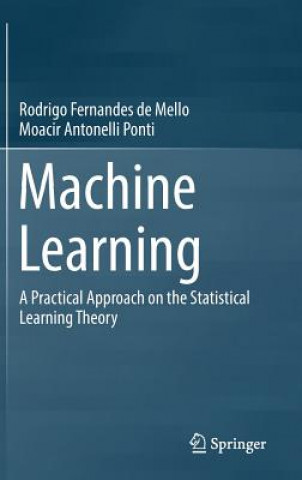 Kniha Machine Learning Rodrigo Fernandes de Mello