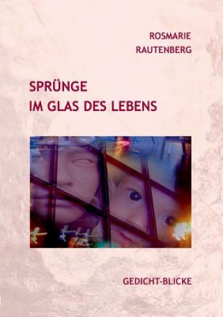 Kniha Sprünge im Glas des Lebens Rosmarie Rautenberg