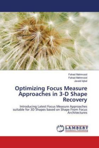 Könyv Optimizing Focus Measure Approaches in 3-D Shape Recovery Fahad Mahmood