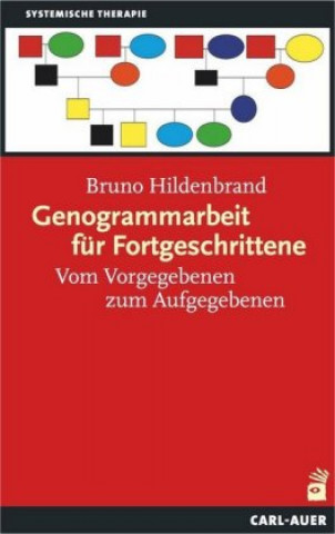 Buch Genogrammarbeit für Fortgeschrittene Bruno Hildenbrand