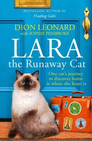 Kniha Lara The Runaway Cat Dion Leonard