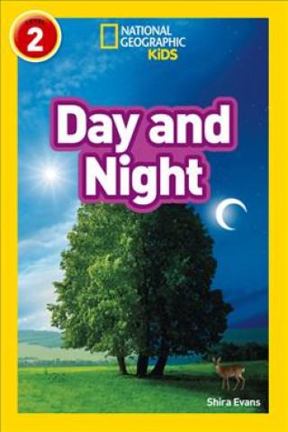 Kniha Day and Night Shira Evans