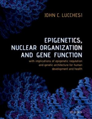 Kniha Epigenetics, Nuclear Organization & Gene Function John C. Lucchesi