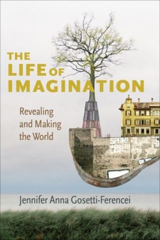 Buch Life of Imagination Jennifer Anna Gosetti-Ferencei