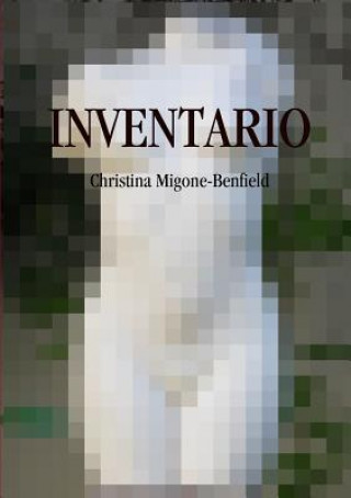 Carte Inventario CHR MIGONE-BENFIELD