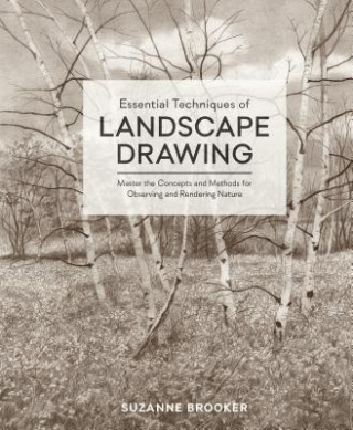 Książka Essential Techniques of Landscape Drawing SUZANNE BROOKER