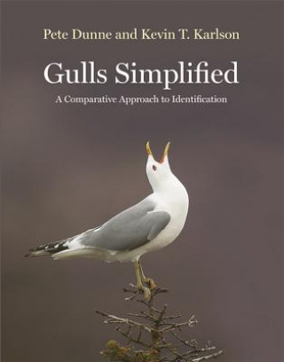Kniha Gulls Simplified Pete Dunne