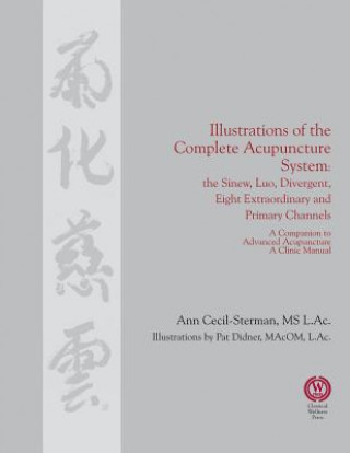 Книга Illustrations of the Complete Acupuncture System ANN CECIL-STERMAN
