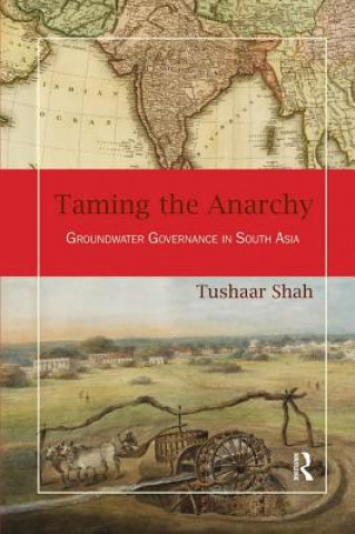 Книга Taming the Anarchy Tushaar Shah