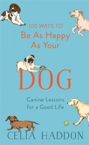 Buch 100 Ways to Be As Happy As Your Dog Celia Haddon