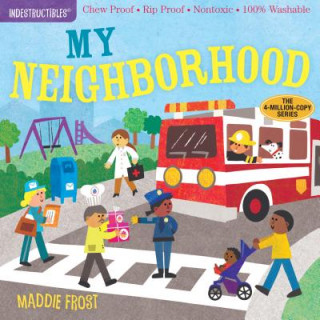 Könyv Indestructibles: My Neighborhood Amy Pixton