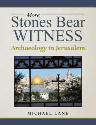 Книга More Stones Bear Witness Michael Lane