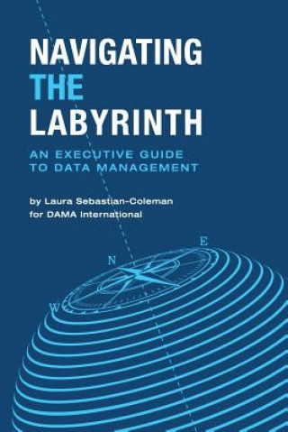 Książka Navigating the Labyrinth Laura Sebastian-Coleman