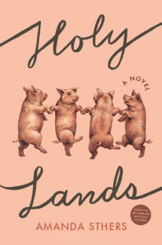 Kniha Holy Lands Amanda Sthers