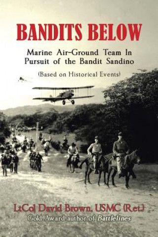 Knjiga Bandits Below Ltcol David Brown