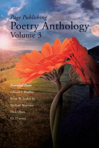 Buch Page Publishing Poetry Anthology Volume 3 Page Publishing