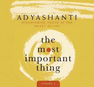 Audio Most Important Thing, Volume 1 Adyashanti