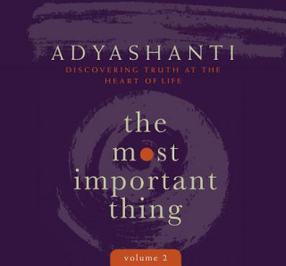 Audio Most Important Thing, Volume 2 Adyashanti