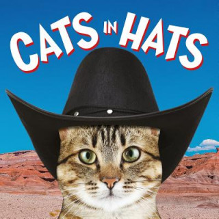 Knjiga Cats in Hats Press Ammonite