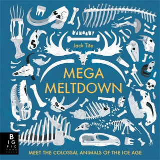 Kniha Mega Meltdown JACK TITE